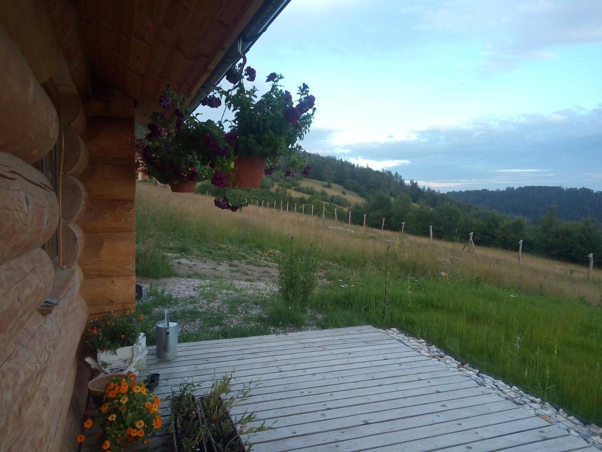 Domek W Gorach Sowich Юґув Екстер'єр фото